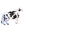 bob官方
